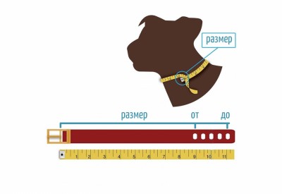 Как измерить обхват шеи собаки