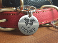 Адресник для собаки Джек рассел терьер