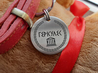 Адресник для собаки