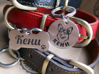 Адресники собаки корги