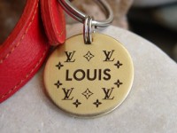 Адресник собаки Louis