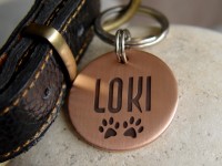 Адресник для собаки по кличке Loki